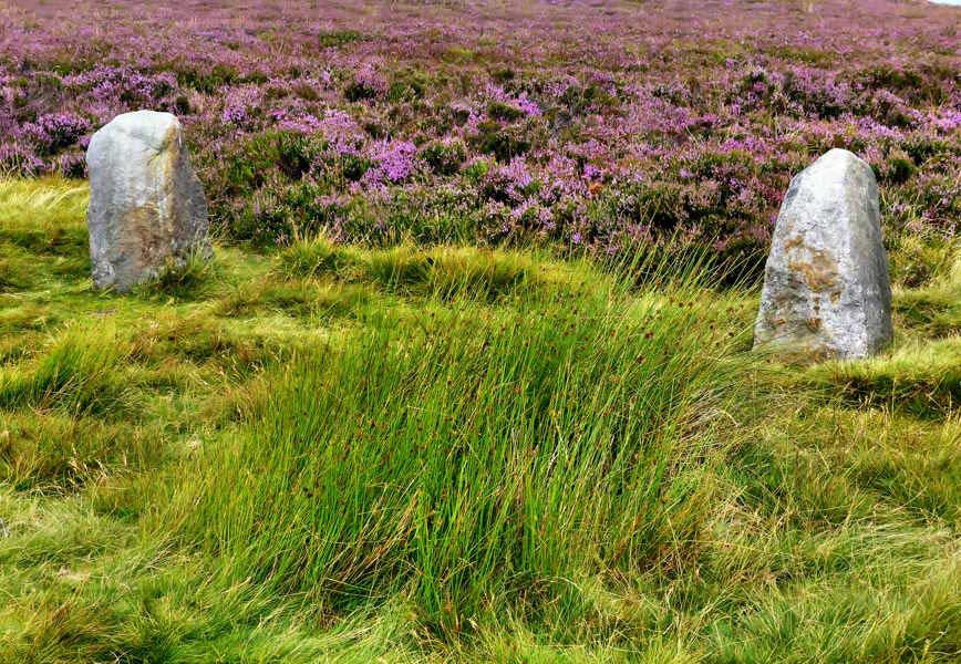 The stones of the 12 Apostles are between three and four feet high.