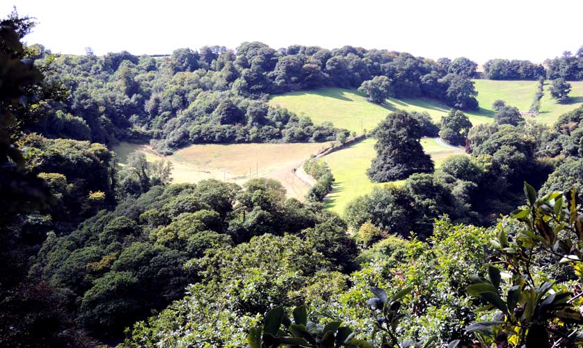 Devon Farmland amid Woodland &copy; Mark Brazil.