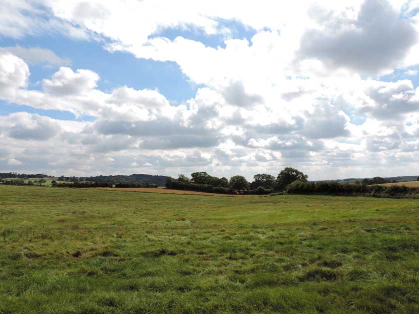 Undulating hills, pastures, field crops and woodland make up British farmland.