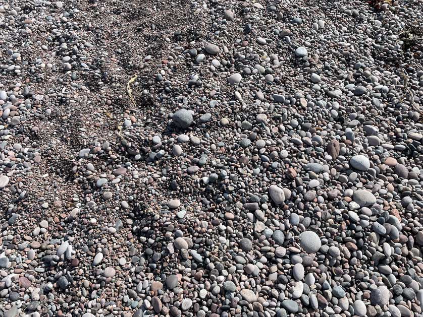 The beach is shingle.