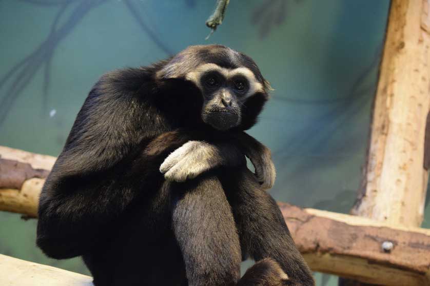 Blackpool Zoo.