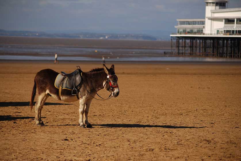 Welcome to Blackpool.