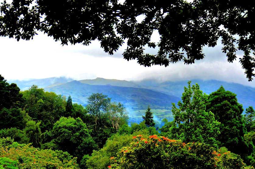 From the higher parts of the gardens there are views across the valley to the Carneddau Mountains.