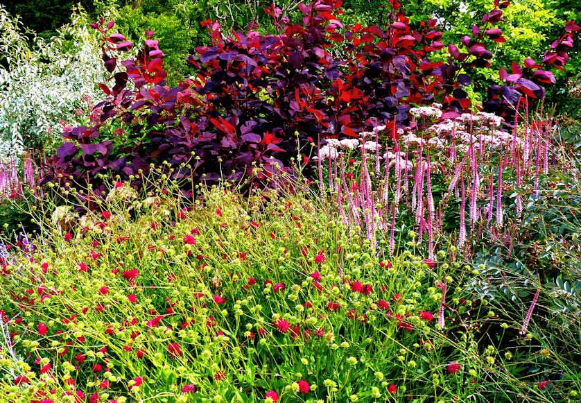 Late summer colors at Bodnant Garden in North Wales.