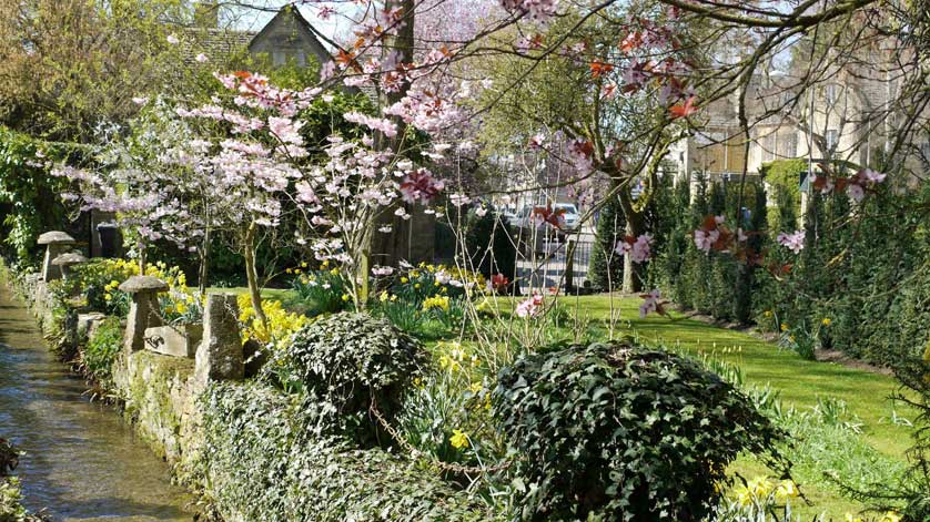 Bourton on the Water, flowers, Gloucestershire, UK