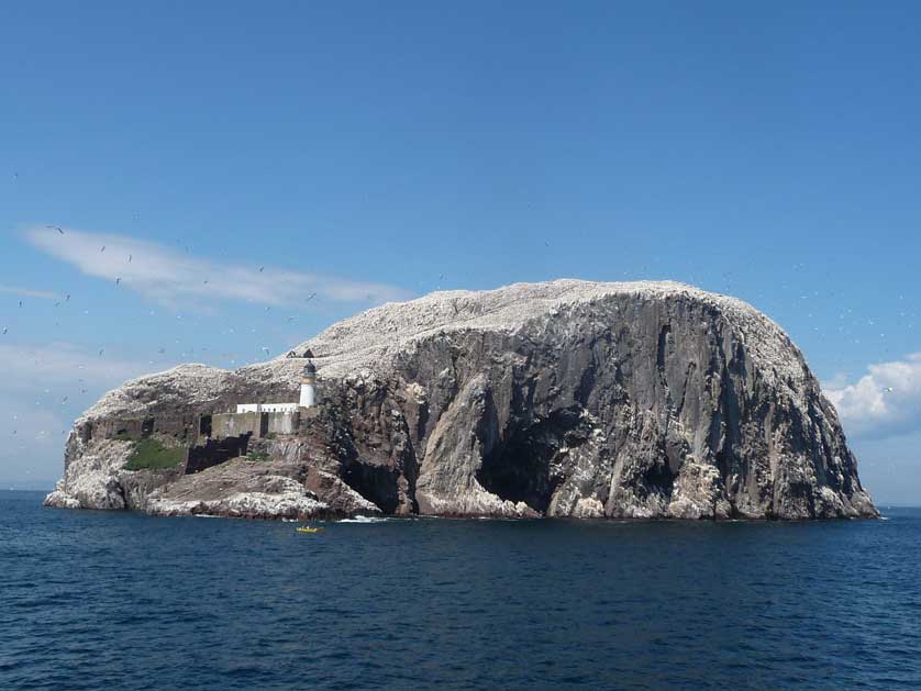Bass Rock, Scotland, UK.