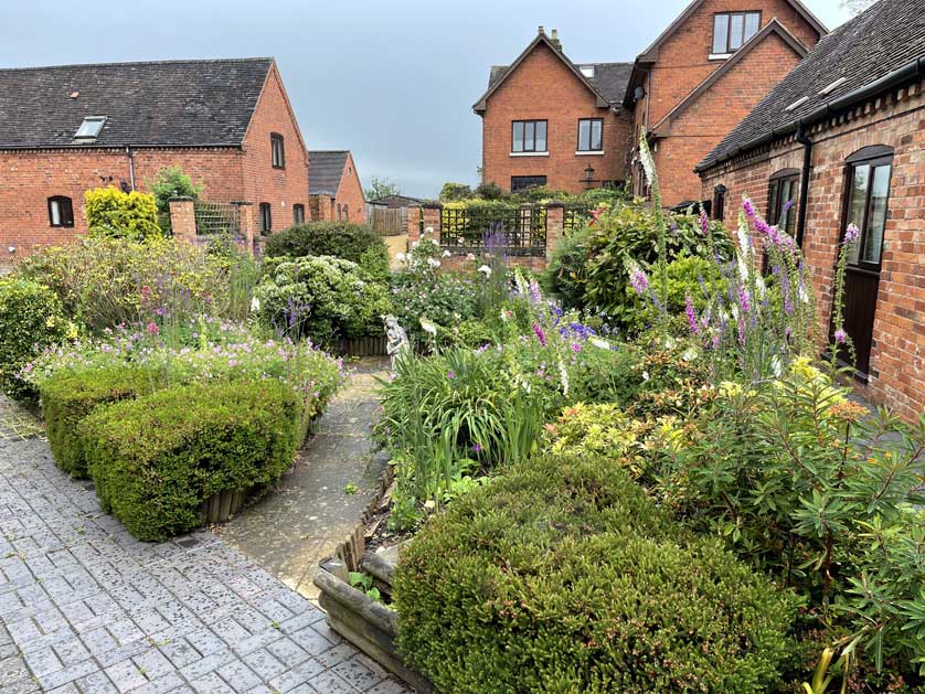 Even the tiniest of gardens can offer opportunities to relax and watch bumblebees and butterflies © Mark Brazil.