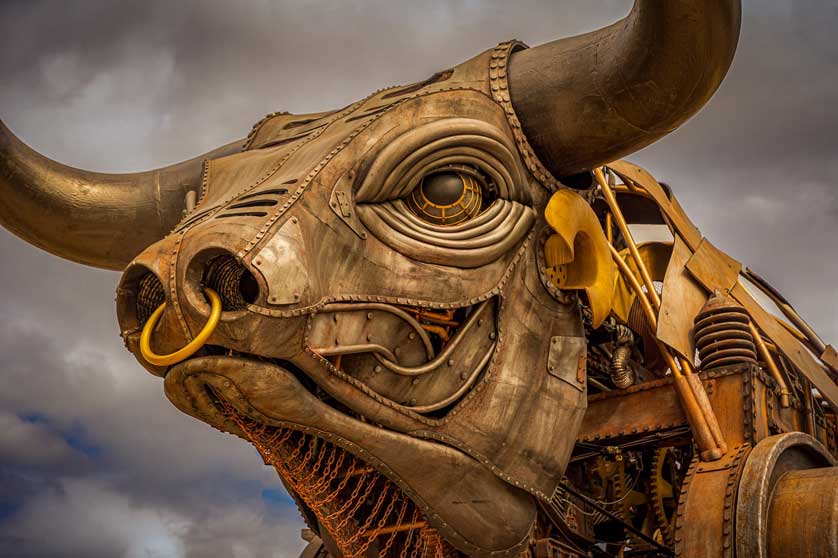 Mechanical bull from the Birmingham 2022 Commonwealth Games.