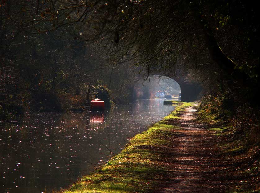 Enjoy the peace and quiet of a walk along one of the many canals in the UK.