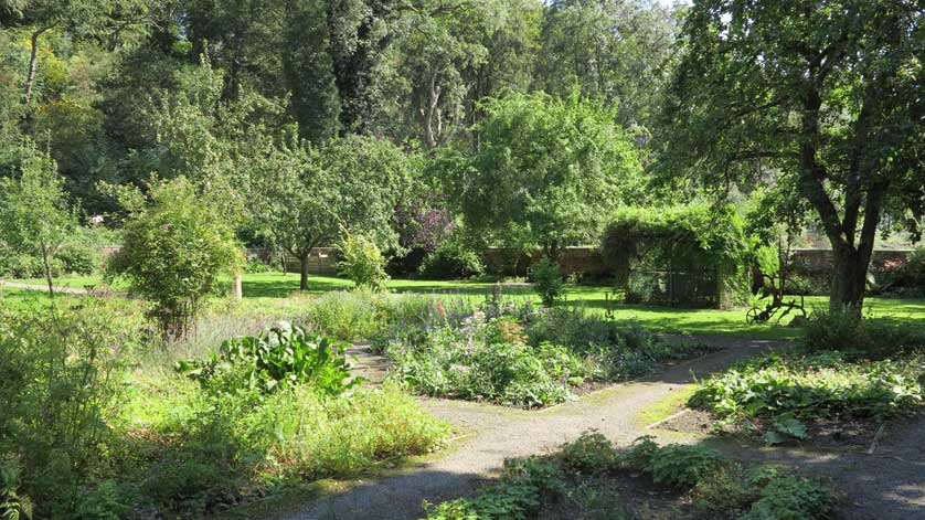 The walled garden is planted with fruit trees and herbs.