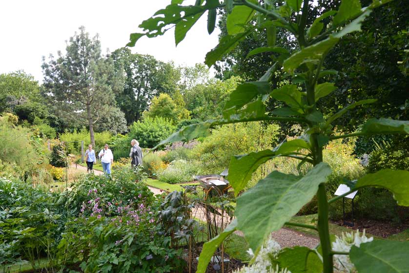 Chelsea Physic Garden, London, UK