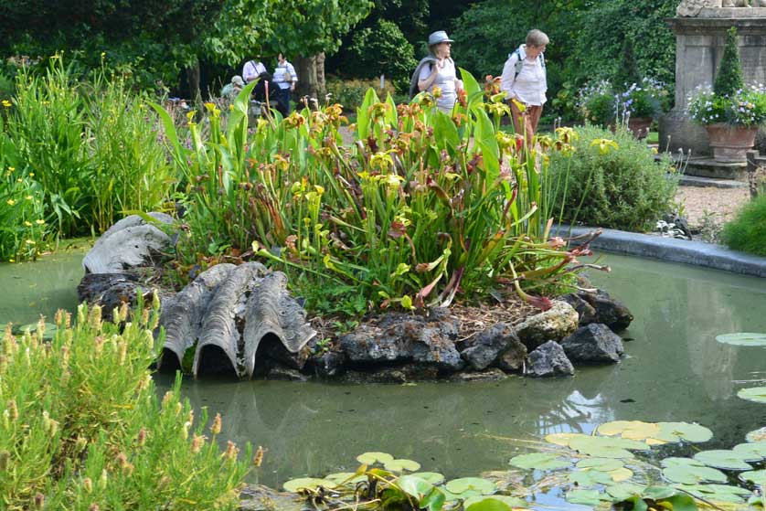 Chelsea Physic Garden, London, UK