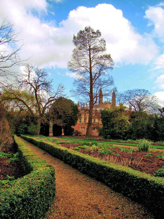 Fellows Garden, Clare College, Cambridge.