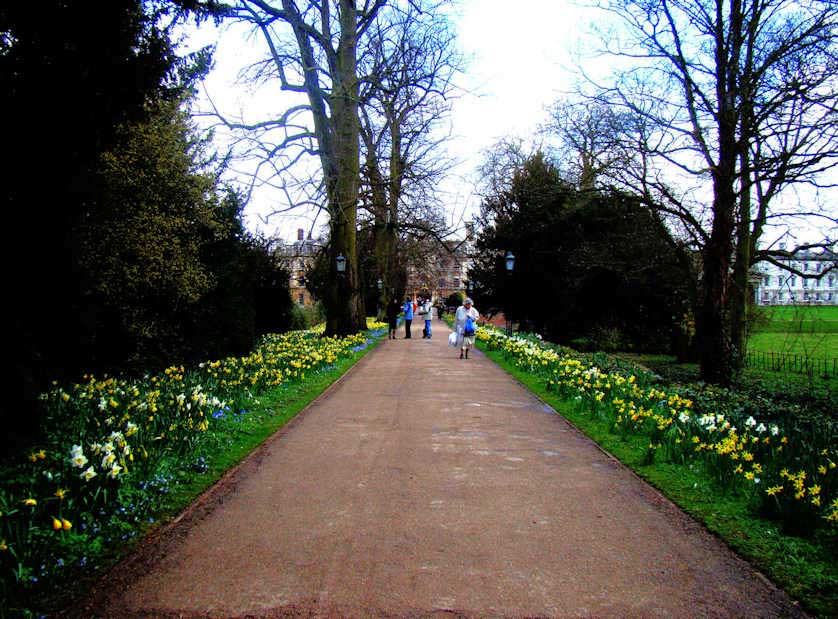 Fellows Garden, Clare College, Cambridge.