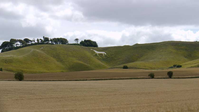 The Cherhill White Horse.