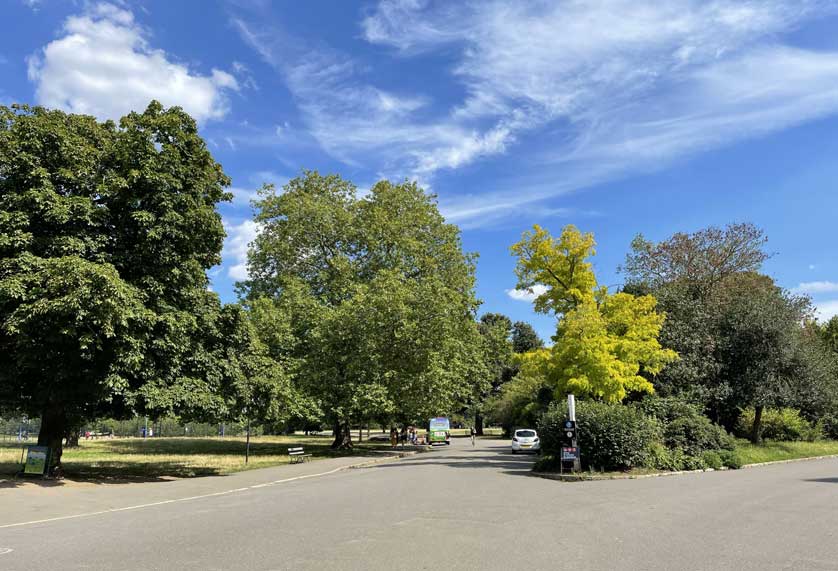The open spaces of Dulwich Park.