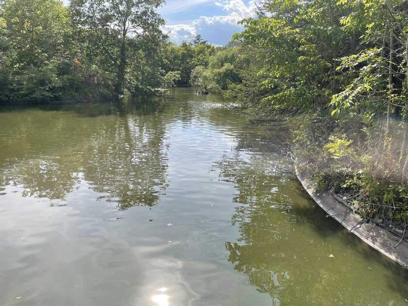 Part of the lake in Dulwich Park, London.