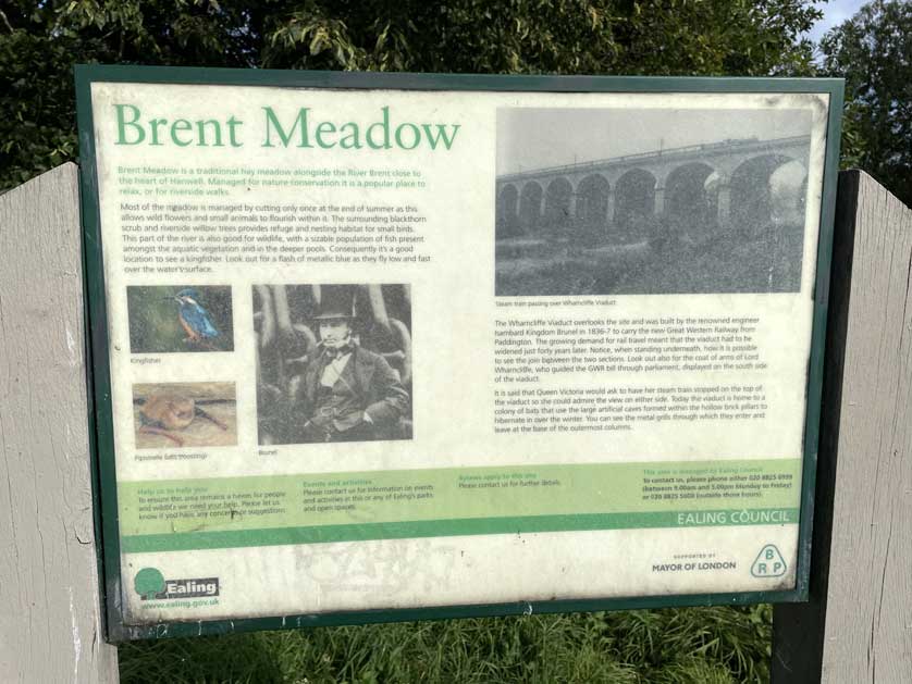 Brent Meadow, Ealing, London.