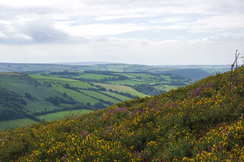 Lynton, Exmoor National Park, Devon.