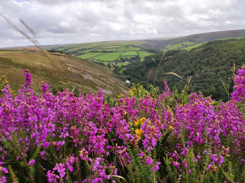 Doone Valley, Exmoor National Park, Devon.