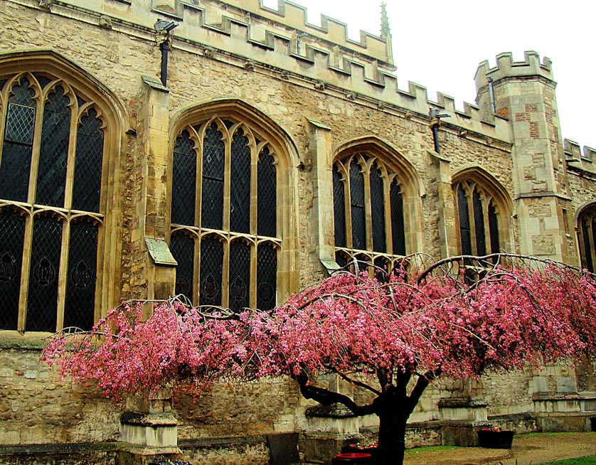 Exterior of Great St. Mary's University Church in Cambridge.