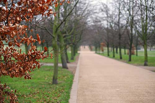 Greenwich Park, Greenwich, London, England, UK.