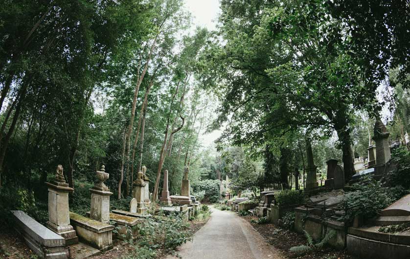 The cemetery is a haven for plants and animals.