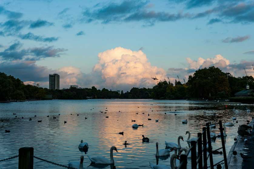 The Serpentine.