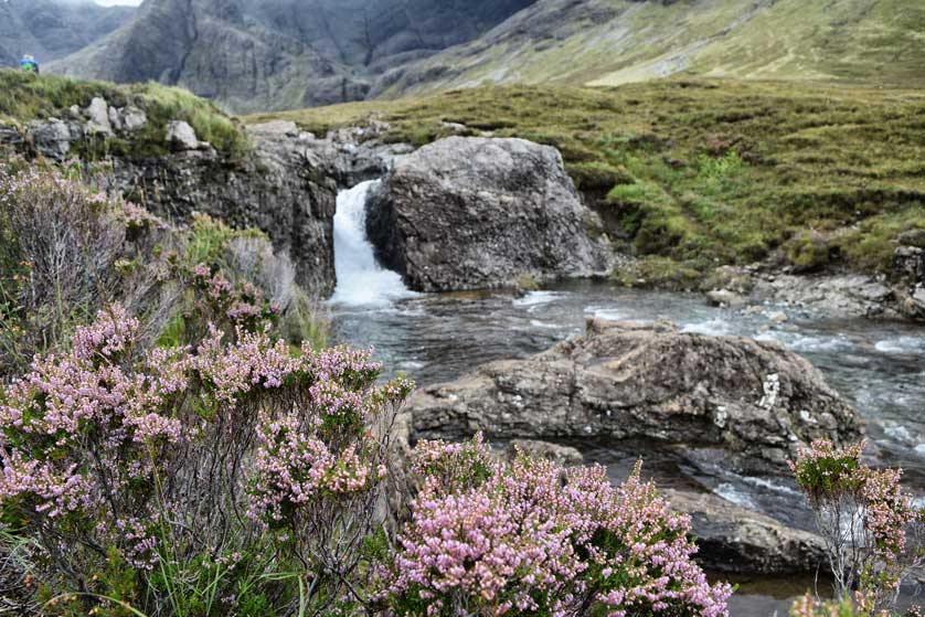 Rivers and waterfalls dot the interior of the island.