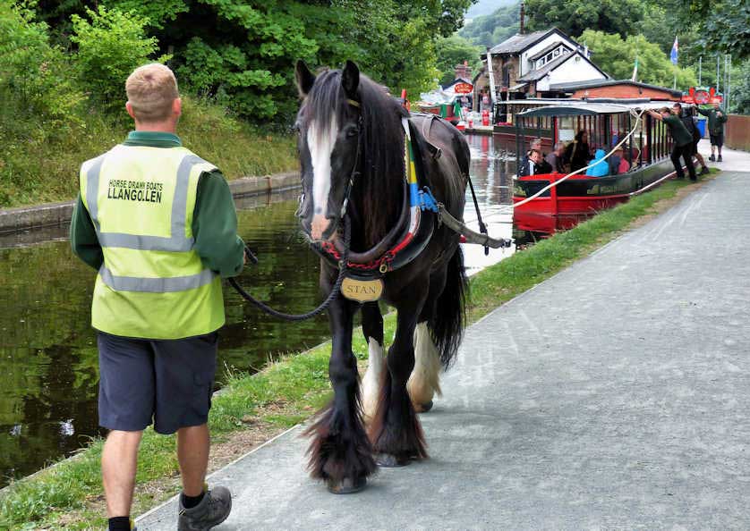 Llangollen has horse-drawn canal boats, a rarity nowadays.