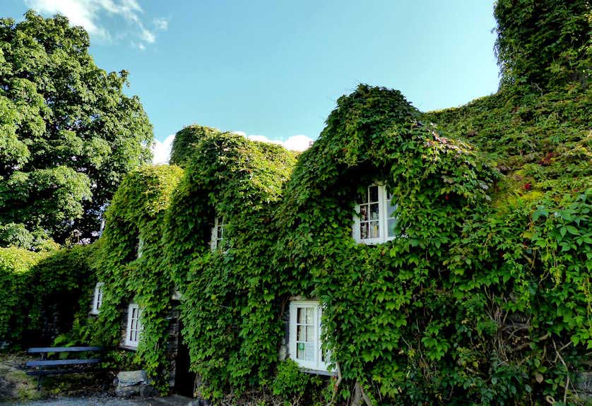 Tu Hwnt I'r Bont, a 15th Century Teahouse.