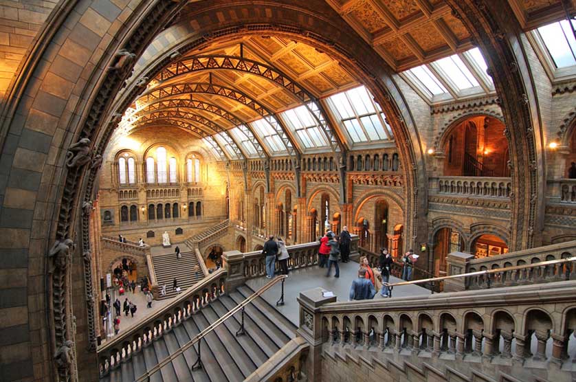 Natural History Museum, London.