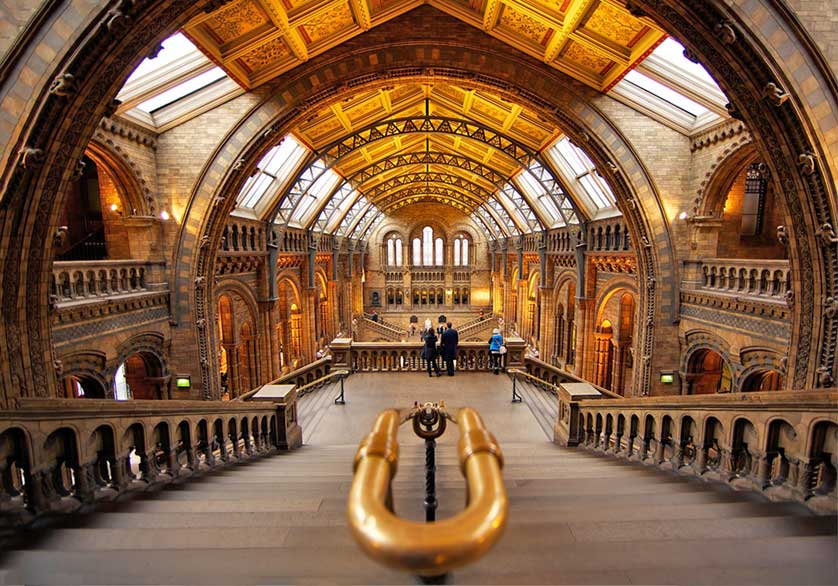 Natural History Museum, London.