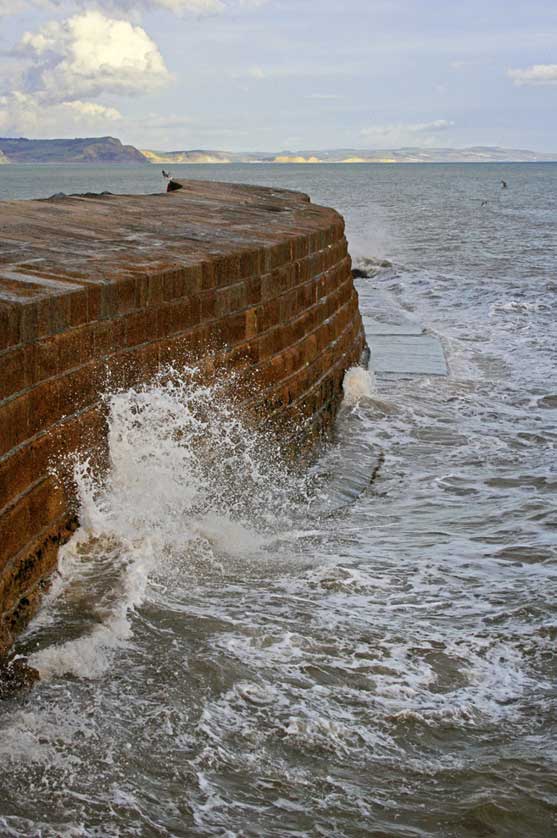 The Cobb, Lyme Regis, Dorset, UK.