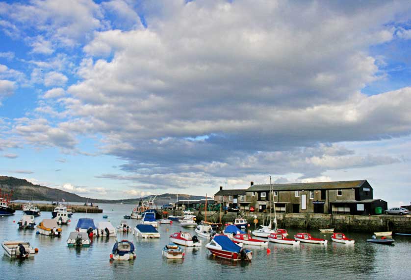 The Harbour, Lyme Regis, Dorset, UK.