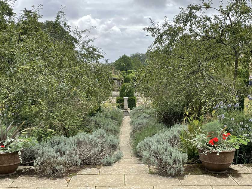 The garden in August 2022.