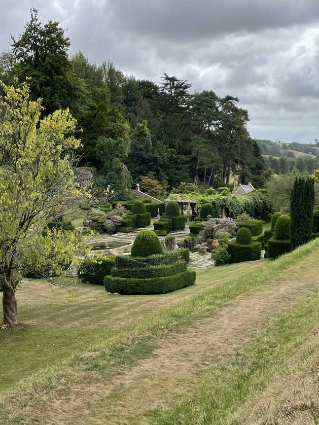 The garden in August 2022.
