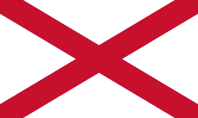 The Saint Patrick's Saltire or Saint Patrick's Cross.