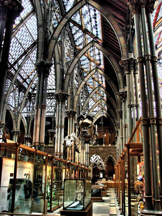 The Victorian glass and iron architecture of the Oxford University Museum of Natural History.