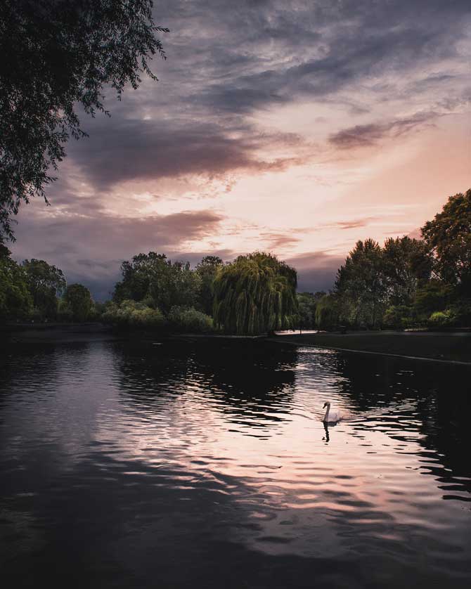 The lake in Regent's Park, London.
