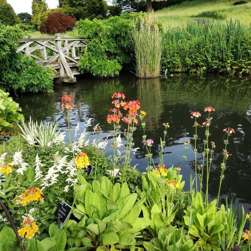 The Royal Horticultural Society at Wisley.