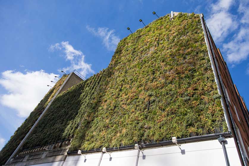 Rubens at the Palace Living Wall, London, UK