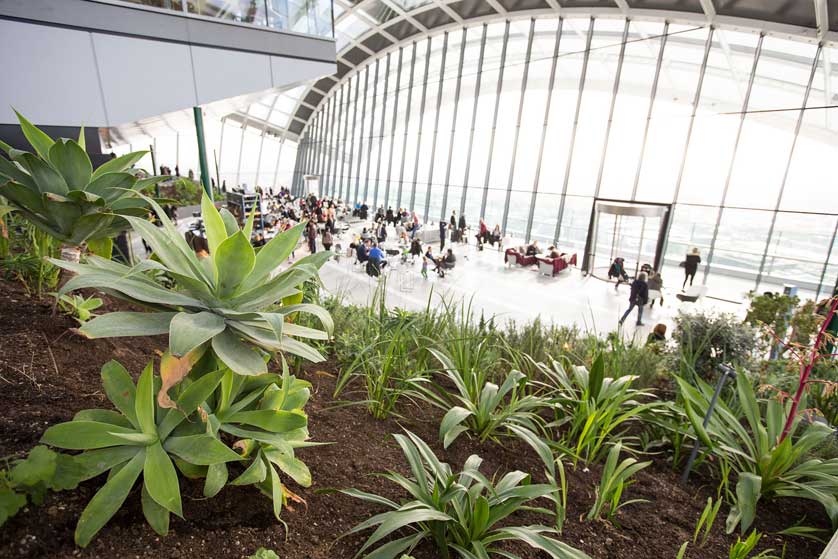 Sky Garden, London, UK
