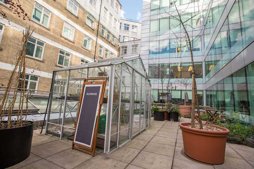 Olswang Roof Garden, London, UK