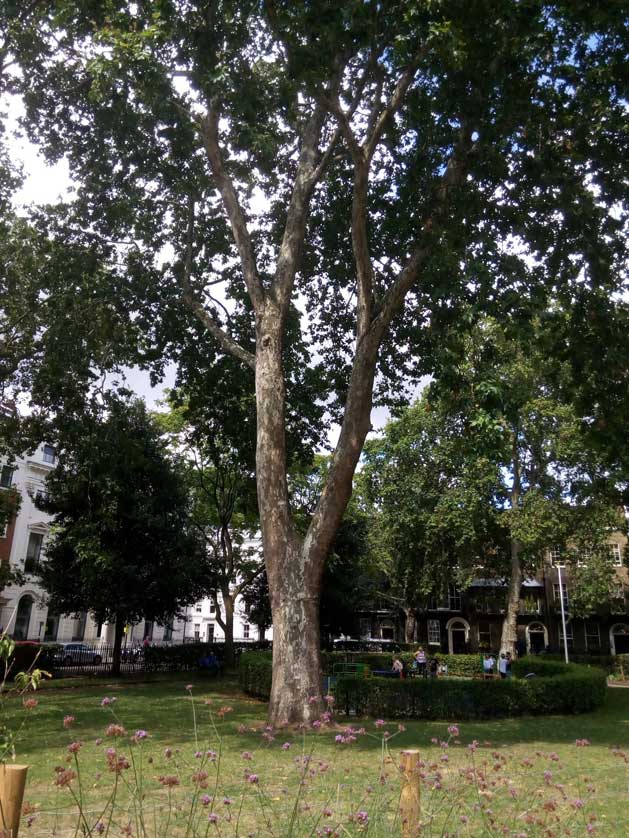 Russell Square, London, UK.