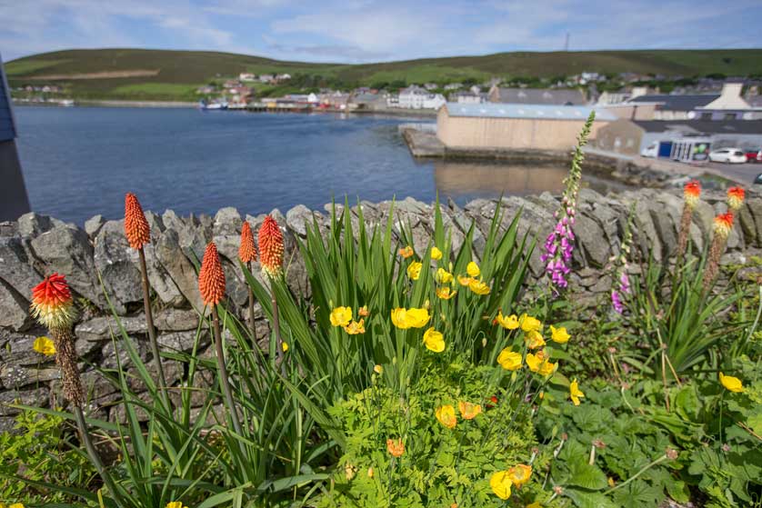 Scalloway harbour, Shetlands, Scotland