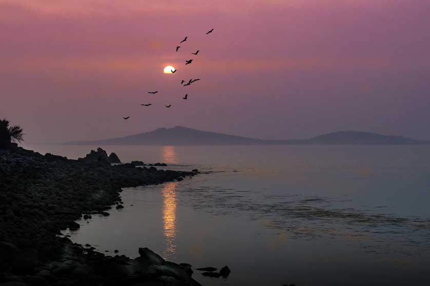 Find peace and tranquility at dusk.