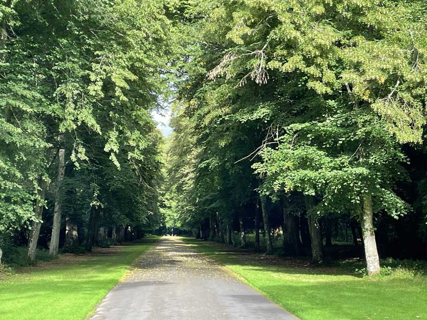 The lovely grounds of the palace.