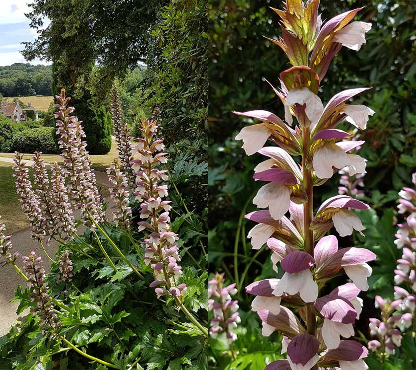Scotney Castle Garden, Kent, UK.