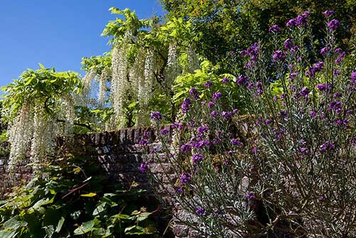 Sissinghurst, Kent, England, UK.